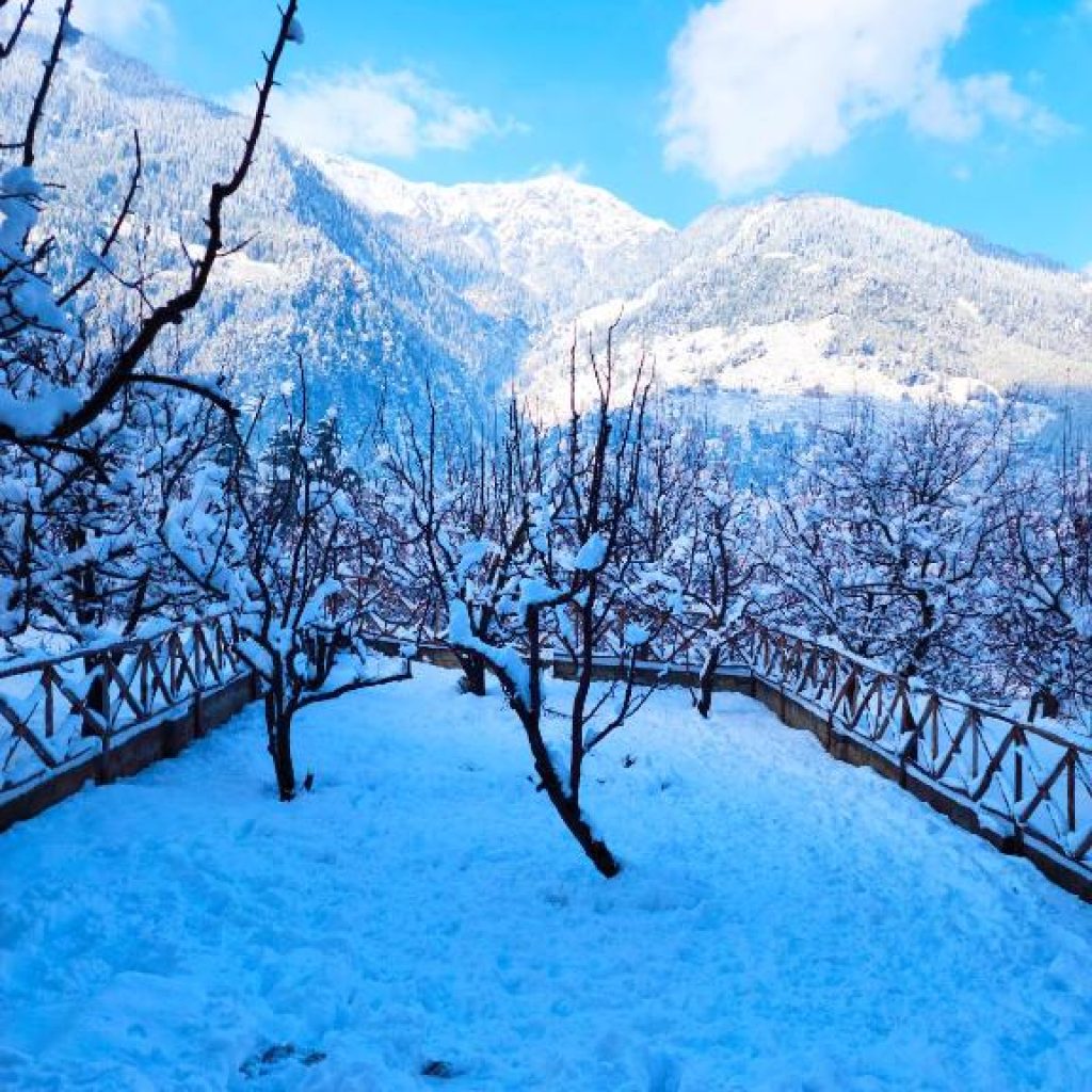 marina heights manali