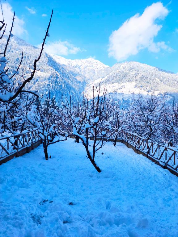 marina heights manali