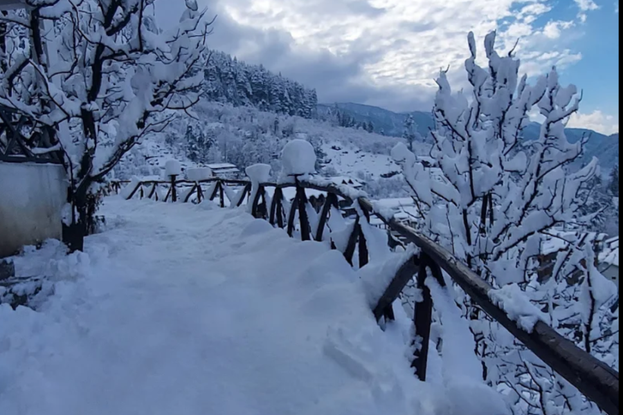 Elite Meleto Woods Manali